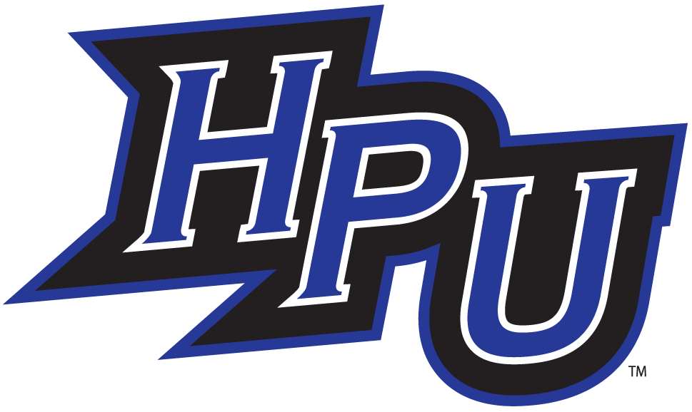 High Point Panthers 2004-2011 Alternate Logo v4 diy iron on heat transfer
